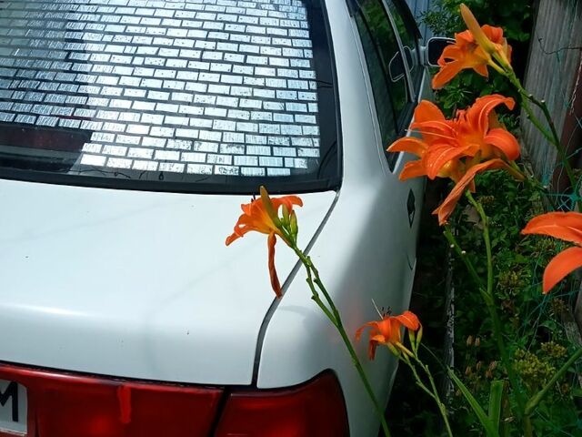 Белый Сузуки Свифт, объемом двигателя 1.3 л и пробегом 180 тыс. км за 1870 $, фото 4 на Automoto.ua