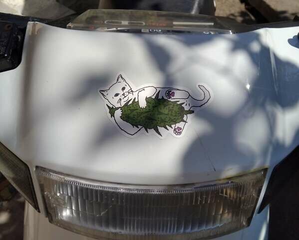 Белый Сузуки Address V100, объемом двигателя 0.11 л и пробегом 15 тыс. км за 450 $, фото 11 на Automoto.ua