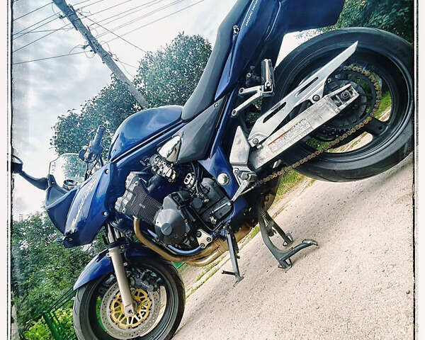 Синий Сузуки GSF 1200S Bandit, объемом двигателя 1.2 л и пробегом 52 тыс. км за 4999 $, фото 1 на Automoto.ua