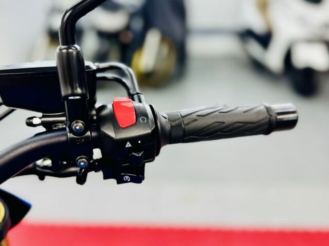 Сузуки GSX-S 1000, объемом двигателя 1 л и пробегом 0 тыс. км за 9800 $, фото 13 на Automoto.ua