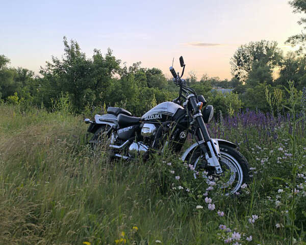 Серый Сузуки VZ 800 Desperado, объемом двигателя 0.81 л и пробегом 22 тыс. км за 4000 $, фото 4 на Automoto.ua