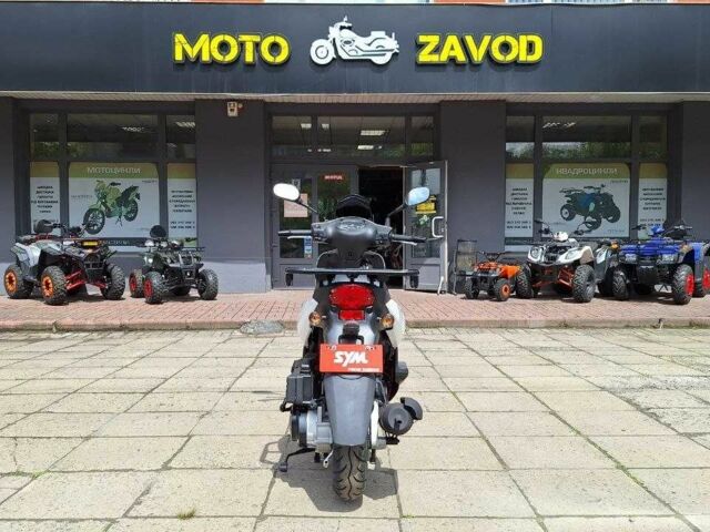 Сім Ікс-Про, об'ємом двигуна 0.13 л та пробігом 0 тис. км за 1600 $, фото 2 на Automoto.ua