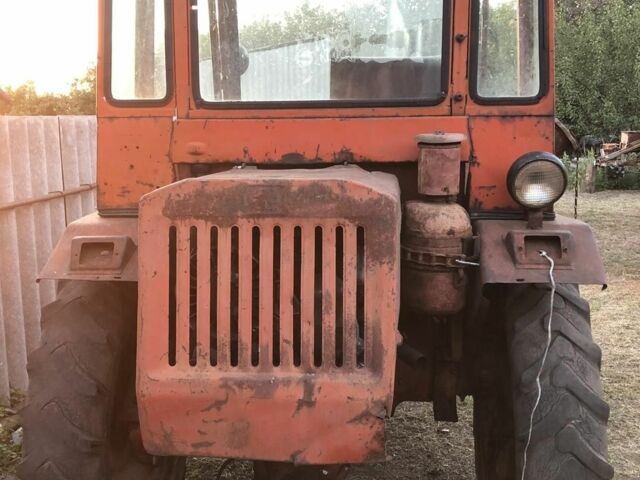 Красный Т 16, объемом двигателя 0 л и пробегом 10 тыс. км за 1200 $, фото 2 на Automoto.ua