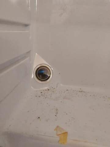 ТЕК Weltbummler, об'ємом двигуна 0 л та пробігом 3 тис. км за 8999 $, фото 28 на Automoto.ua