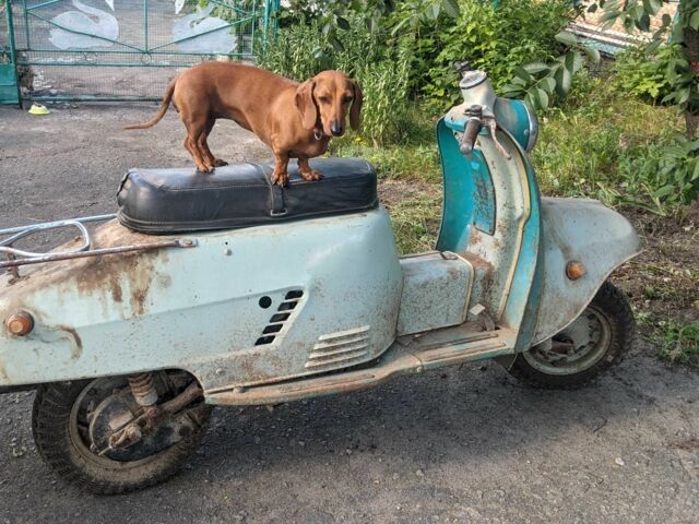 ТМЗ Другая, объемом двигателя 0.2 л и пробегом 0 тыс. км за 582 $, фото 18 на Automoto.ua