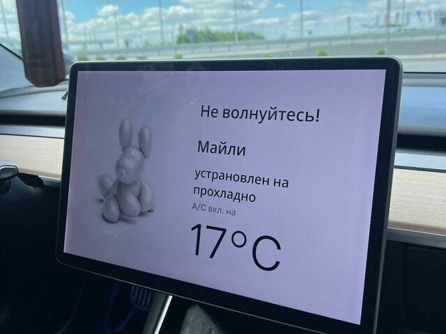Белый Тесла Модель 3, объемом двигателя 0 л и пробегом 181 тыс. км за 17000 $, фото 17 на Automoto.ua