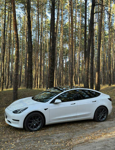 Білий Тесла Модель 3, об'ємом двигуна 0 л та пробігом 65 тис. км за 31000 $, фото 5 на Automoto.ua