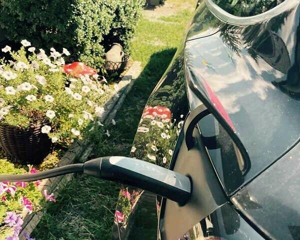 Чорний Тесла Модель 3, об'ємом двигуна 0 л та пробігом 40 тис. км за 18300 $, фото 8 на Automoto.ua