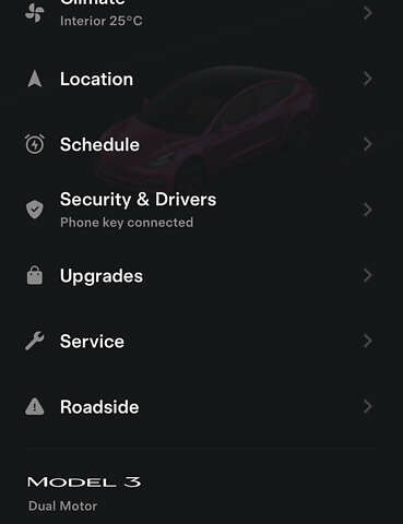 Чорний Тесла Модель 3, об'ємом двигуна 0 л та пробігом 76 тис. км за 22000 $, фото 21 на Automoto.ua