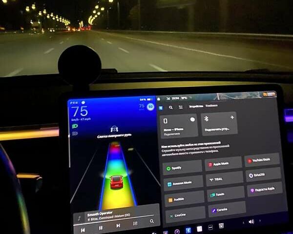 Червоний Тесла Модель 3, об'ємом двигуна 0 л та пробігом 92 тис. км за 18700 $, фото 10 на Automoto.ua