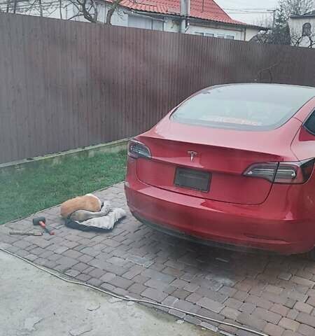 Красный Тесла Модель 3, объемом двигателя 0 л и пробегом 105 тыс. км за 15900 $, фото 3 на Automoto.ua