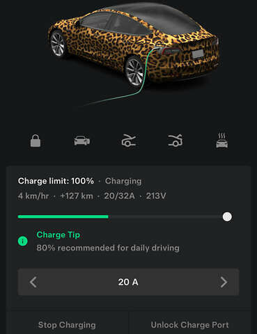 Синий Тесла Модель 3, объемом двигателя 0 л и пробегом 125 тыс. км за 16500 $, фото 8 на Automoto.ua
