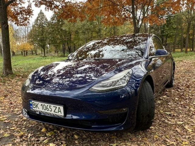 Синій Тесла Модель 3, об'ємом двигуна 0 л та пробігом 63 тис. км за 21500 $, фото 1 на Automoto.ua