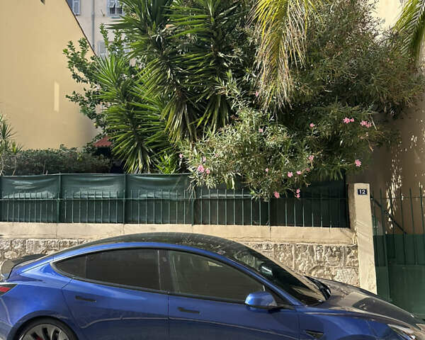 Синій Тесла Модель 3, об'ємом двигуна 0 л та пробігом 106 тис. км за 22000 $, фото 10 на Automoto.ua