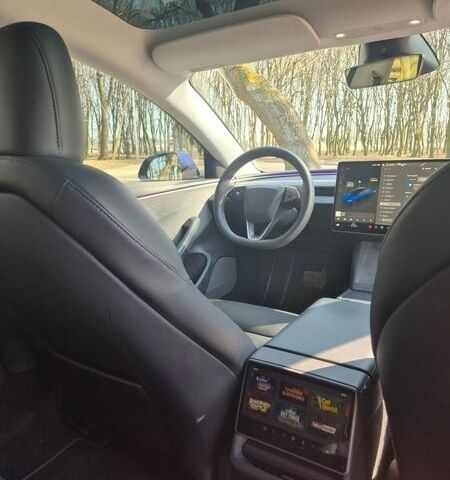 Синій Тесла Модель 3, об'ємом двигуна 0 л та пробігом 20 тис. км за 25000 $, фото 14 на Automoto.ua