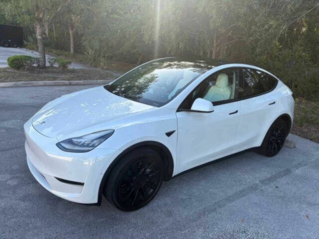 Белый Тесла Другая, объемом двигателя 0 л и пробегом 48 тыс. км за 11500 $, фото 2 на Automoto.ua