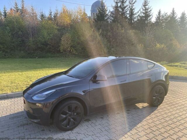 Тесла Другая 2024 в Тернополе на Automoto.ua Серый Тесла Другая, объемом двигателя 0 л и пробегом 3 тыс. км за 28000 $, фото 20 на Automoto.ua