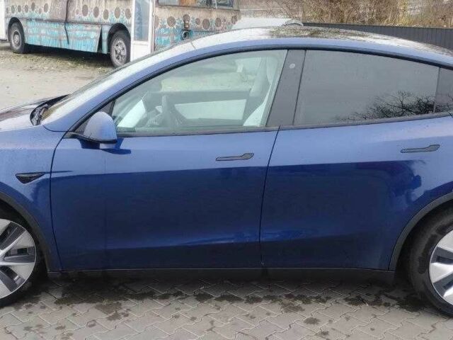 Синий Тесла Другая, объемом двигателя 0 л и пробегом 261 тыс. км за 19500 $, фото 15 на Automoto.ua