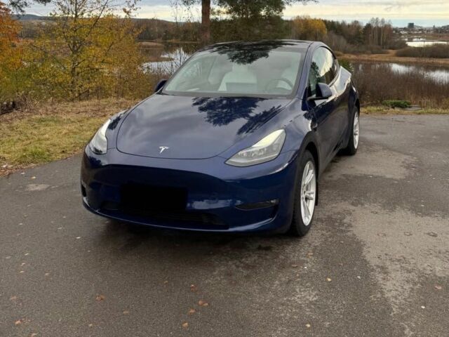 Синий Тесла Другая, объемом двигателя 0 л и пробегом 58 тыс. км за 16500 $, фото 2 на Automoto.ua