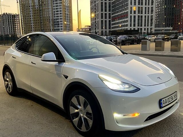 Білий Тесла Model Y, об'ємом двигуна 0 л та пробігом 99 тис. км за 36000 $, фото 1 на Automoto.ua