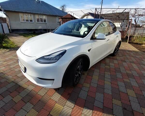 Белый Тесла Model Y, объемом двигателя 0 л и пробегом 113 тыс. км за 24700 $, фото 18 на Automoto.ua