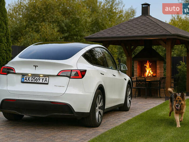 Белый Тесла Model Y, объемом двигателя 0 л и пробегом 116 тыс. км за 21700 $, фото 2 на Automoto.ua