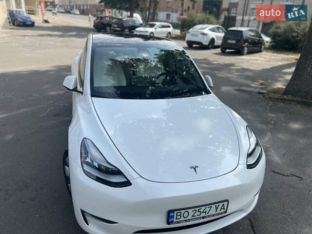 Белый Тесла Model Y, объемом двигателя 0 л и пробегом 31 тыс. км за 29900 $, фото 2 на Automoto.ua
