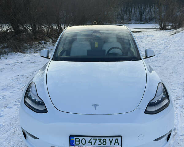Белый Тесла Model Y, объемом двигателя 0 л и пробегом 40 тыс. км за 28500 $, фото 2 на Automoto.ua