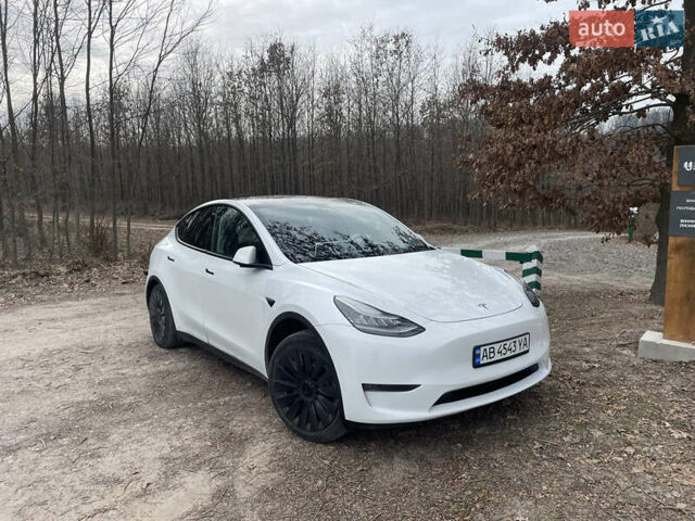 Білий Тесла Model Y, об'ємом двигуна 0 л та пробігом 87 тис. км за 21999 $, фото 2 на Automoto.ua