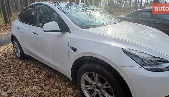 Белый Тесла Model Y, объемом двигателя 0 л и пробегом 69 тыс. км за 23300 $, фото 4 на Automoto.ua