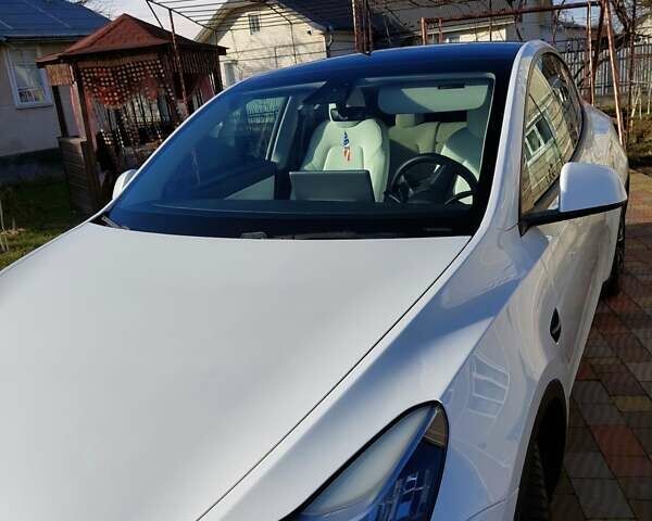 Белый Тесла Model Y, объемом двигателя 0 л и пробегом 113 тыс. км за 24700 $, фото 14 на Automoto.ua