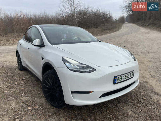 Білий Тесла Model Y, об'ємом двигуна 0 л та пробігом 87 тис. км за 21999 $, фото 3 на Automoto.ua
