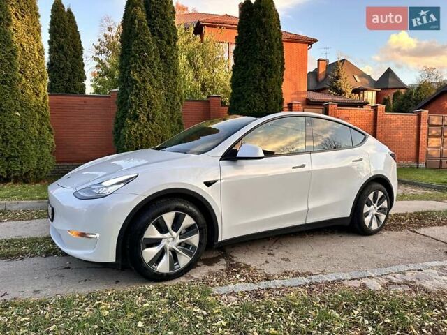 Белый Тесла Model Y, объемом двигателя 0 л и пробегом 110 тыс. км за 21700 $, фото 2 на Automoto.ua