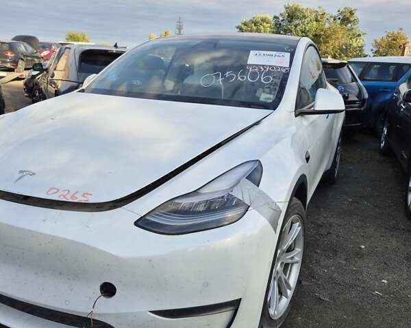 Белый Тесла Model Y, объемом двигателя 0 л и пробегом 185 тыс. км за 16900 $, фото 7 на Automoto.ua