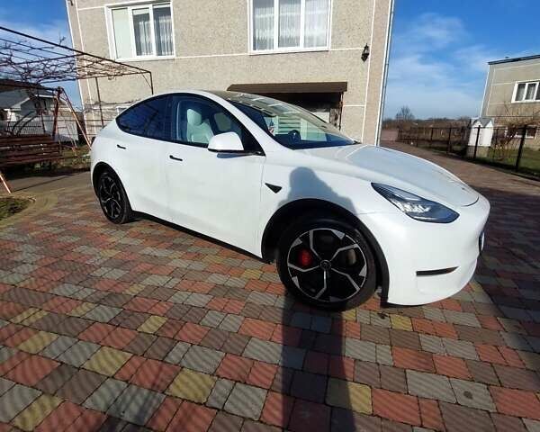 Белый Тесла Model Y, объемом двигателя 0 л и пробегом 113 тыс. км за 24700 $, фото 4 на Automoto.ua