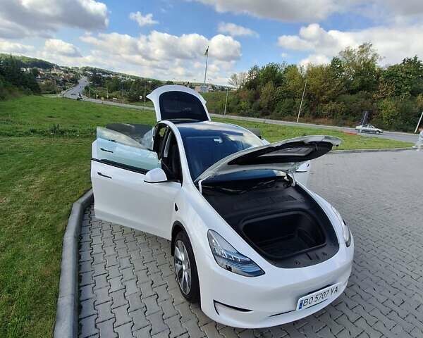 Білий Тесла Model Y, об'ємом двигуна 0 л та пробігом 75 тис. км за 30000 $, фото 17 на Automoto.ua