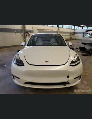 Білий Тесла Model Y, об'ємом двигуна 0 л та пробігом 41 тис. км за 24500 $, фото 17 на Automoto.ua