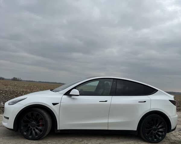 Белый Тесла Model Y, объемом двигателя 0 л и пробегом 119 тыс. км за 24500 $, фото 1 на Automoto.ua