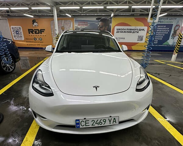Білий Тесла Model Y, об'ємом двигуна 0 л та пробігом 75 тис. км за 21000 $, фото 6 на Automoto.ua