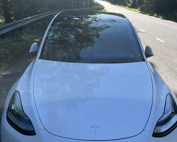 Білий Тесла Model Y, об'ємом двигуна 0 л та пробігом 117 тис. км за 23000 $, фото 4 на Automoto.ua