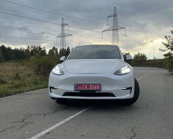 Белый Тесла Model Y, объемом двигателя 0 л и пробегом 87 тыс. км за 25100 $, фото 19 на Automoto.ua