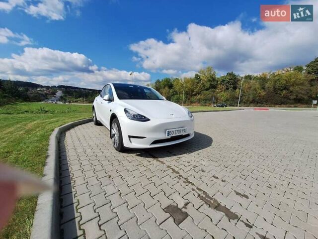 Білий Тесла Model Y, об'ємом двигуна 0 л та пробігом 75 тис. км за 30000 $, фото 5 на Automoto.ua