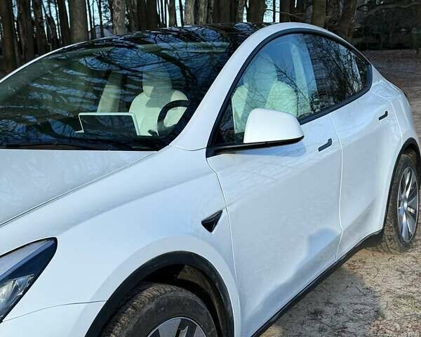 Білий Тесла Model Y, об'ємом двигуна 0 л та пробігом 88 тис. км за 27000 $, фото 1 на Automoto.ua