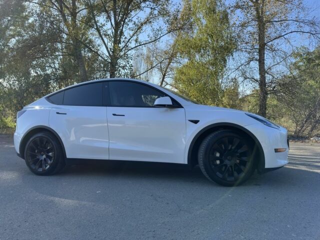 Білий Тесла Model Y, об'ємом двигуна 0 л та пробігом 73 тис. км за 29400 $, фото 10 на Automoto.ua
