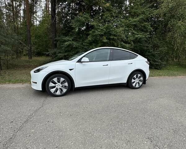 Белый Тесла Model Y, объемом двигателя 0 л и пробегом 79 тыс. км за 26500 $, фото 12 на Automoto.ua