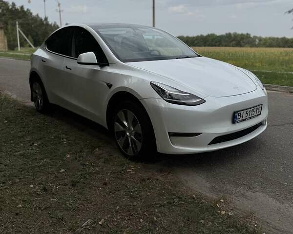 Белый Тесла Model Y, объемом двигателя 0 л и пробегом 79 тыс. км за 26500 $, фото 10 на Automoto.ua