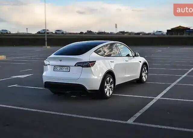 Белый Тесла Model Y, объемом двигателя 0 л и пробегом 98 тыс. км за 26500 $, фото 10 на Automoto.ua