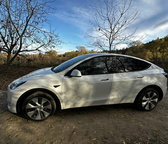 Белый Тесла Model Y, объемом двигателя 0 л и пробегом 46 тыс. км за 26150 $, фото 3 на Automoto.ua