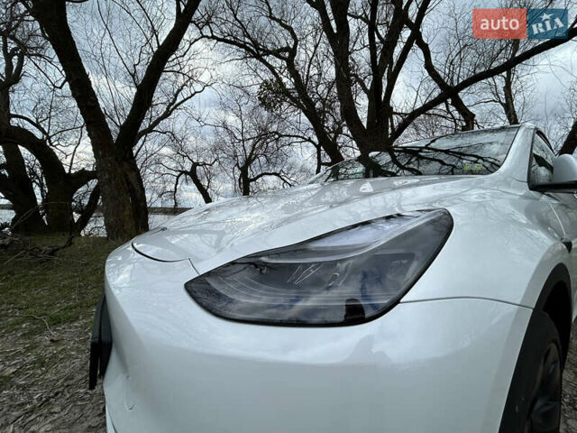 Белый Тесла Model Y, объемом двигателя 0 л и пробегом 6 тыс. км за 36900 $, фото 11 на Automoto.ua