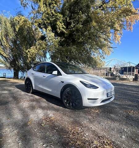 Білий Тесла Model Y, об'ємом двигуна 0 л та пробігом 62 тис. км за 29700 $, фото 17 на Automoto.ua